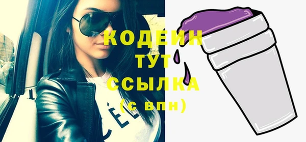 apvp Горняк