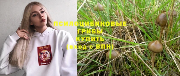 мескалин Горнозаводск