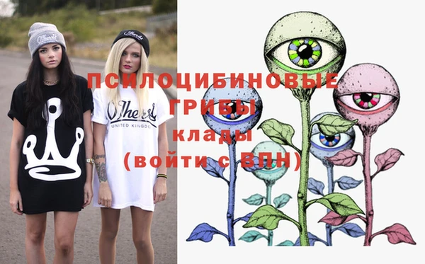 apvp Горняк