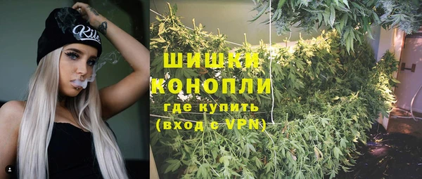 apvp Горняк