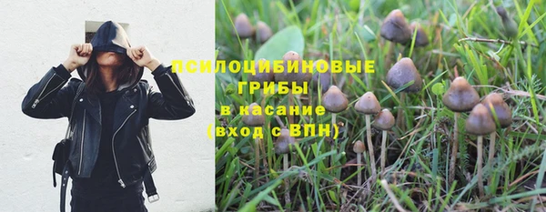 мескалин Горнозаводск